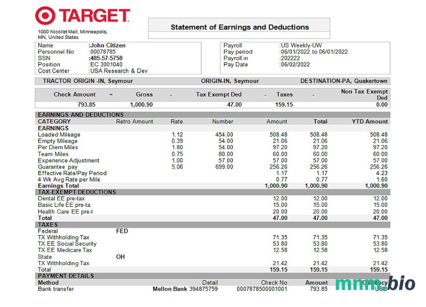 USA Target retail company pay stub